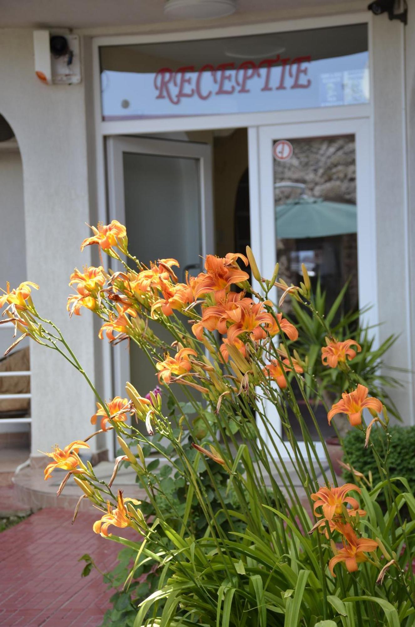 Vila Julia Costinesti Extérieur photo